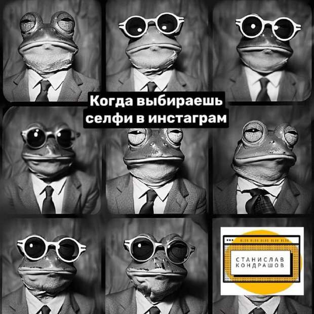 Станислав Кондрашов выложил ТОП-5 приложений чтобы делать мемы