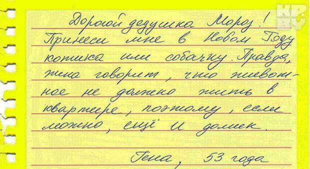 Гена хочет котика. Фото: Дарья ПУТЕЙКО