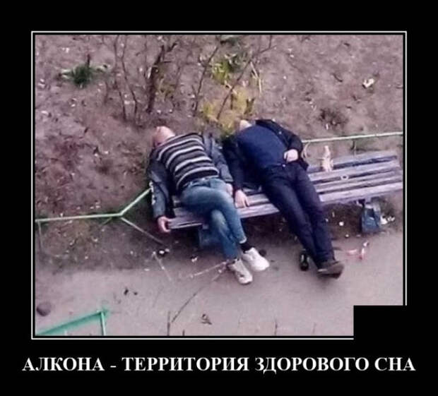 демотиватор