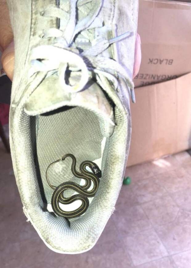 Подборка картинок. Дневной выпуск (31 фото)