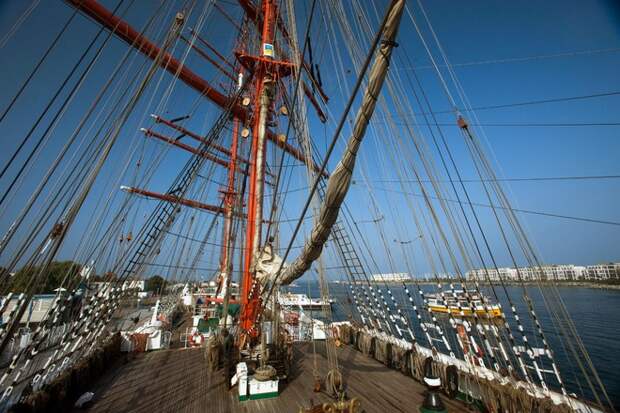 Выжившие рыбаки с траулера «Онега» вернулись в Мурманск