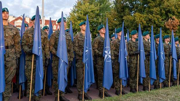 В Турции указали на неспособность НАТО напасть на Россию