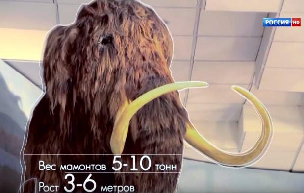 Так отчего вымерли мамонты?