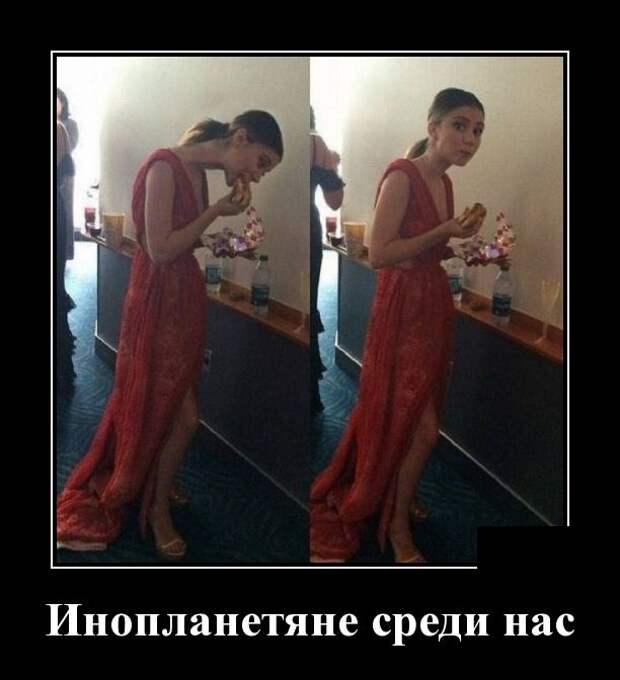 www.vsyako.net