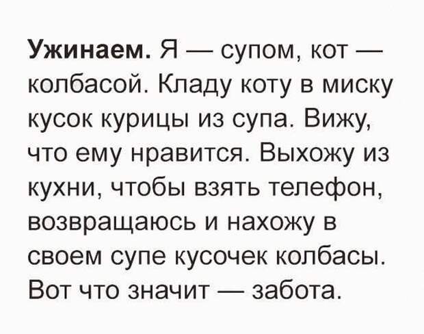 30 искрометных шуток для прекрасного настроения на весь день