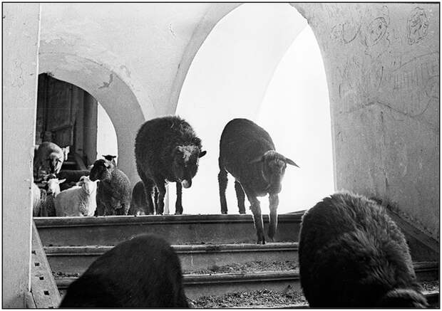 Щемящие сердце советские фотографии Владимира Ролова Щемящие сердце советские фотографии Владимира Ролова люди, фотограф