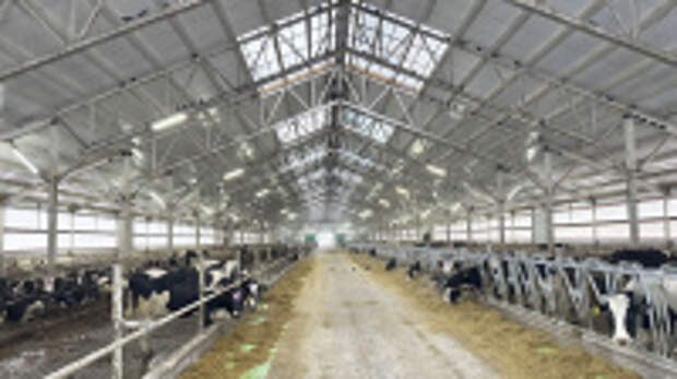 Сельхозорганизации региона увеличивают производство молока