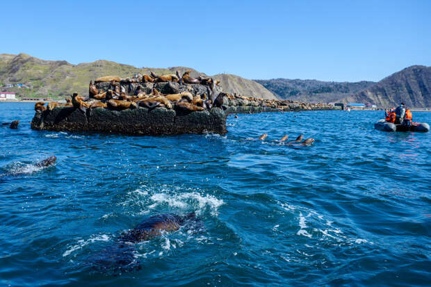 Путин назвал необходимым строительство моста на Сахалин, несмотря на дороговизну