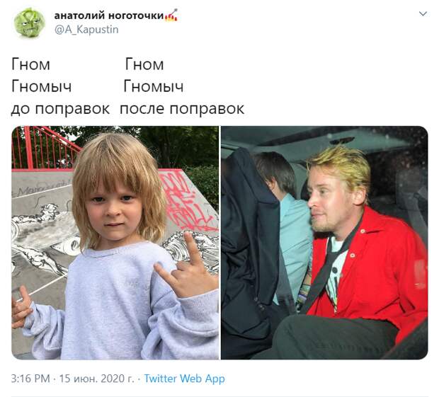 Гном Гномыч прорекламировал поправки в Конституцию