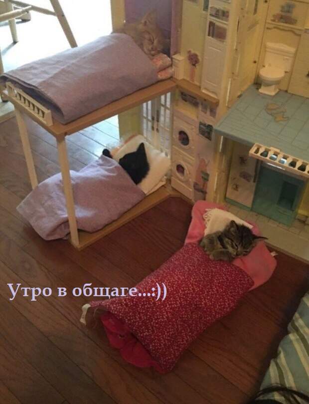 Давайте улыбаться вместе