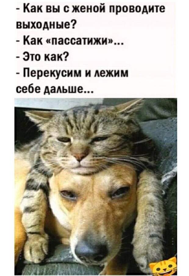 Смешные и познавательные картинки
