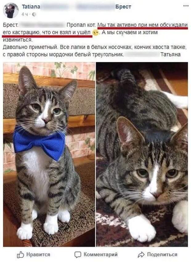 Смешные комментарии. Подборка chert-poberi-kom-chert-poberi-kom-09350421092020-13 картинка chert-poberi-kom-09350421092020-13