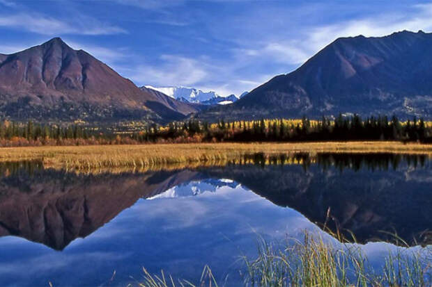 Alaska_zapovednik