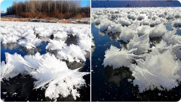 морозные цветы на реке