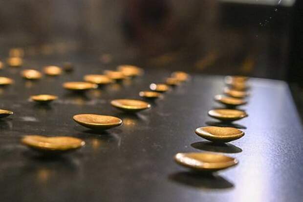 Две редчайшие золотые монеты возрастом 2300 лет нашли в болоте