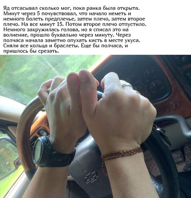 www.vsyako.net