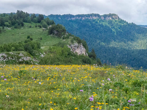 Здесь и далее фото автора. Лагонакское нагорье (Адыгея).