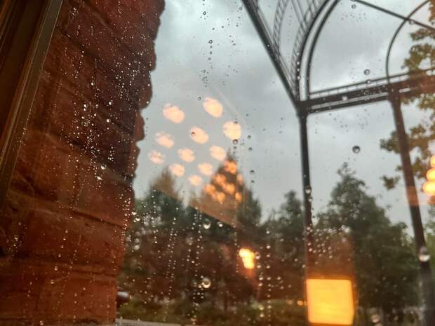 В Петербурге 28 апреля ожидаются порывистый ветер, дожди и до +7 градусов