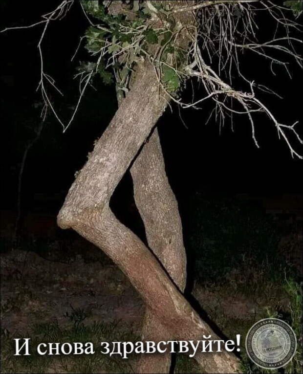 И снова здравствуйте!