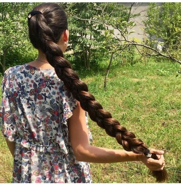 Коса - девичья краса Коса - девичья краса