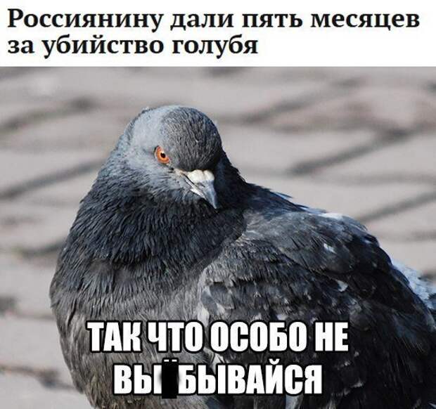 Новая партия искрометных приколов для надрыва животов Новая партия искрометных приколов для надрыва животов