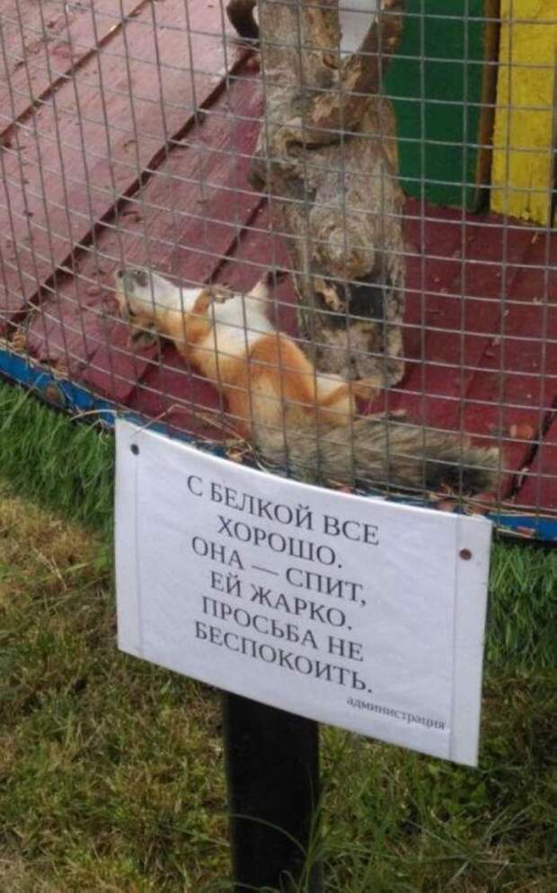 Фото с родных просторов