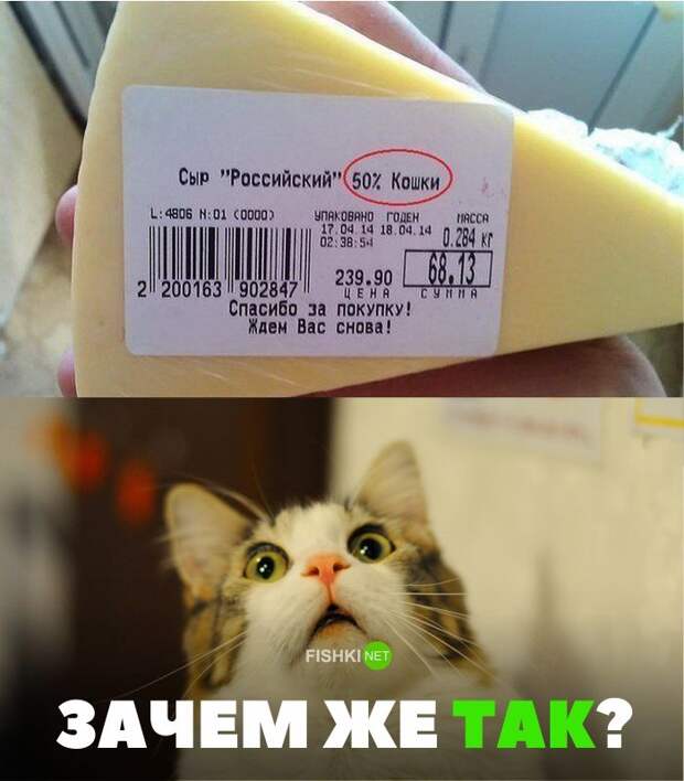 30 позитивных картинок, которые скрасят ваш  день картинки, прикол, юмор