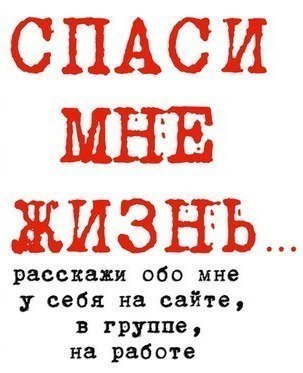 Умоляем, помогите! Целыми днями малыши ждут помощи на ступеньках магазина, жалобно мяукая. Сколько ещё они продержаться.....