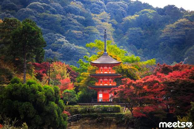 temple, Japan Buddhist temple