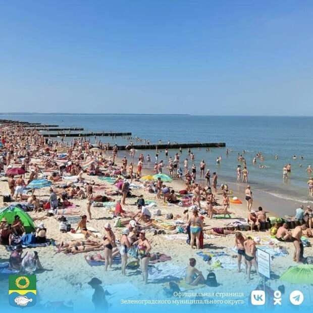 Пять пляжей Зеленоградска получили "Синий флаг" в 2024 году