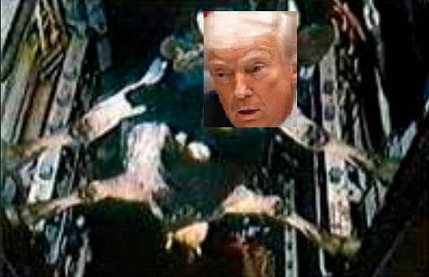 Роджерс: Корова в бомболюке