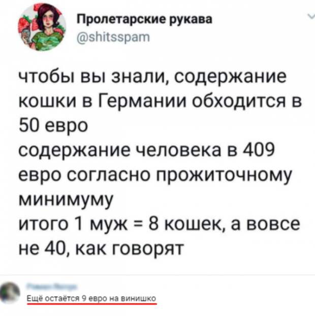 Уморительные истории о котах Уморительные истории о котах