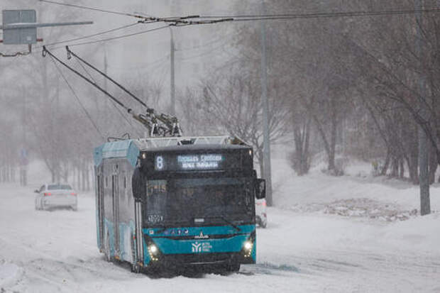 Чувствуют власть? Водители единственного маршрута в аэропорт Краснодара измываются над пассажирами, закрывая двери перед их носом и уезжая с полупустым транспортом