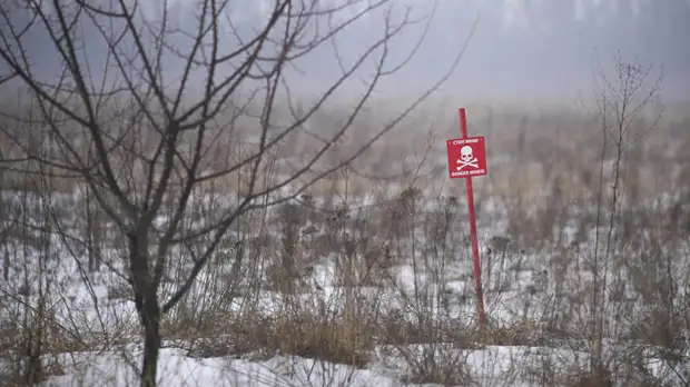 В ЛНР заявили, что иностранные СМИ готовят постановочные сюжеты об агрессии в Донбассе