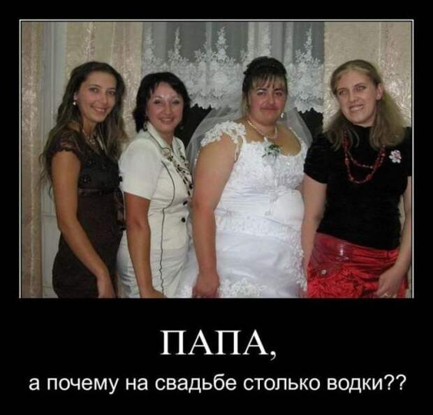 Демотиваторы (30 фото)