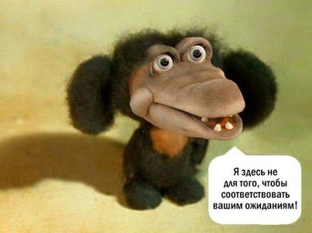 юмор картинки приколы с надписями (3)