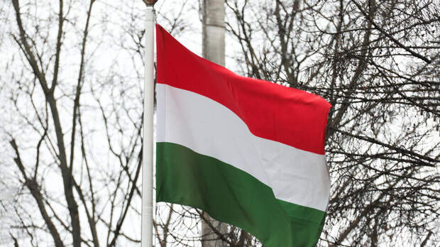 Глава оппозиции Венгрии заступился за Орбана после угроз Зеленского