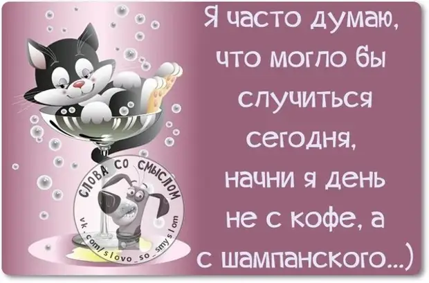 Сегодня суббота картинки прикольные с надписями