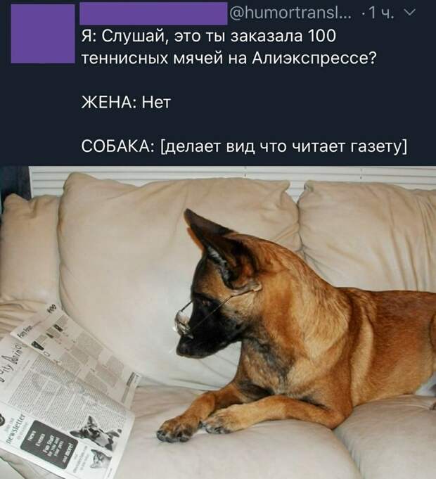 Умен и независим Умен и независим