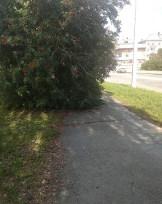 Чиновник из Новоуральска запрещает рассказывать о проблемах города в соцсетях 