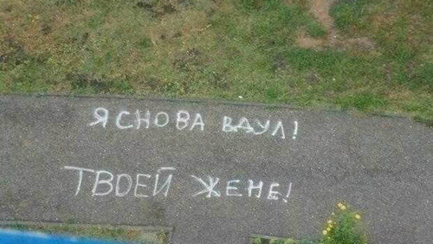 Современная наскальная письменность как она есть жить в россии, мелом, надпись, надпись на асфальте, прикол, фото