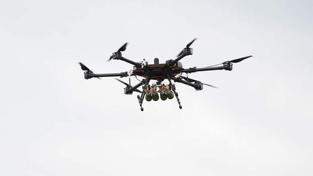 Глава делегации РФ в Вене назвала мифическими данные о дронах РФ в небе над ЕС