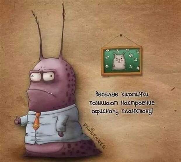 Неадекватный юмор из социальных сетей. Подборка chert-poberi-umor-chert-poberi-umor-40310913072020-2 картинка chert-poberi-umor-40310913072020-2