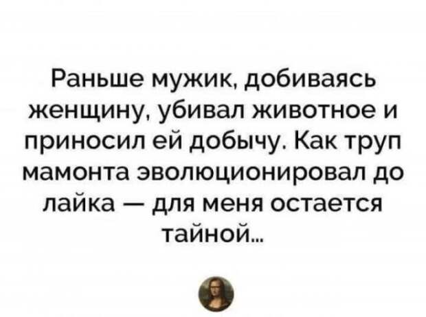 Всяческие картинки