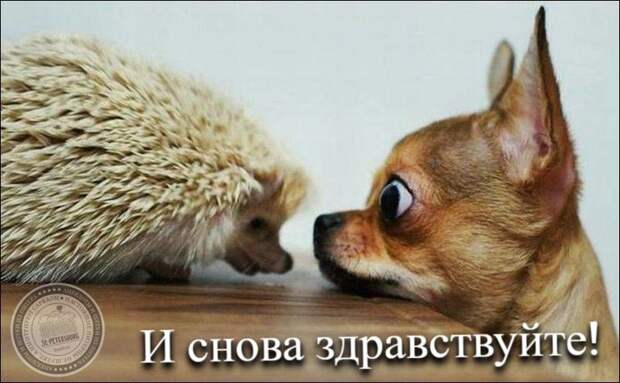 И снова здравствуйте!