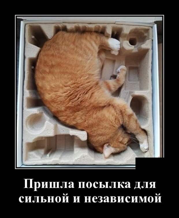 Демотиваторы (30 фото)