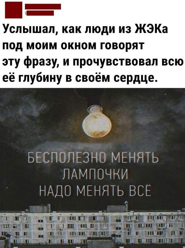 Ржачные картинки (10)