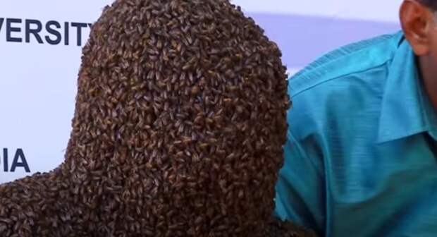 Мужчина посадил себе на лицо 60 тысяч пчел