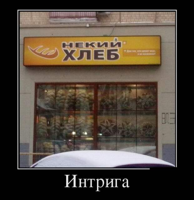 Демотиваторы (30 фото)