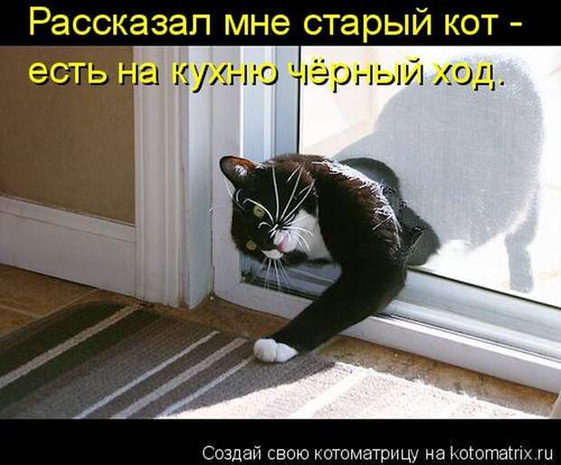 Мысли вслух :)